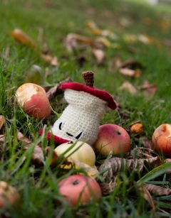 Apple Core