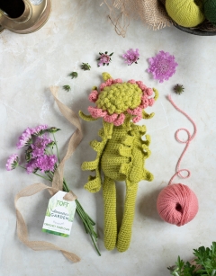 Pincushion Flower