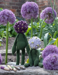 Allium