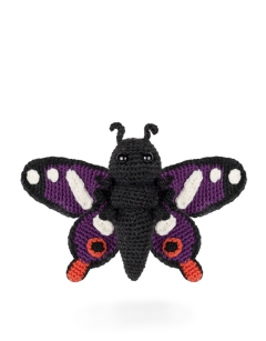 Angelo the Purple Emperor Butterfly