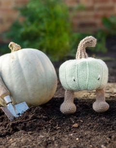 Crown Prince Pumpkin