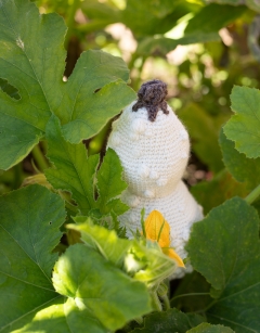 Ghostly Gourd Duo
