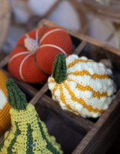 Short Gourd