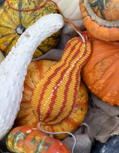 Striped Crookneck Gourd