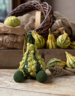 Striped Warty Gourd