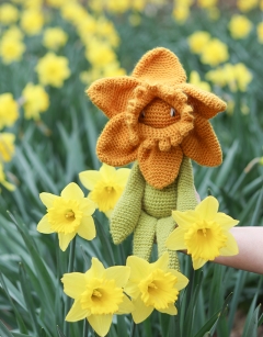 Daffodil