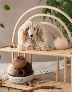 Amy the Afghan Hound