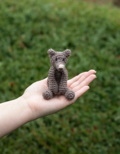 Pets Discovery Box