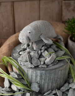 Hortense the Manatee