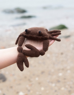 Jimmy the Atlantic Crab