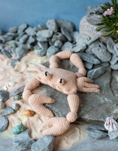 Jimmy the Atlantic Crab