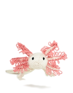 Danielle the Axolotl