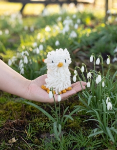 Baby Birds Discovery Box