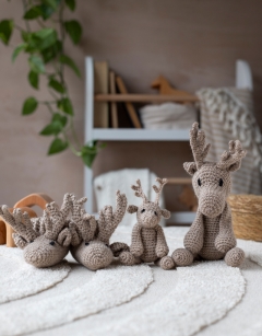 Baby Reindeer Discovery Box
