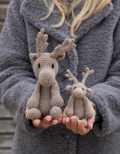 Baby Reindeer Discovery Box