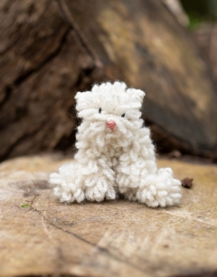 Mini Nousha the Persian Cat