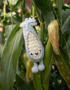 Baby Sweetcorn
