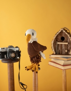 Abraham the Bald Eagle Kit