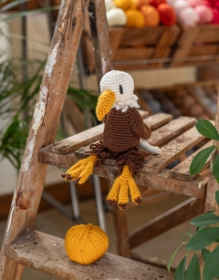 Abraham the Bald Eagle Kit