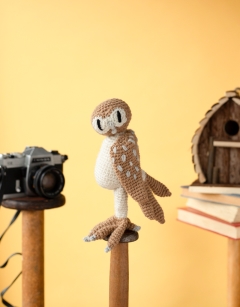 Barney the Barn Owl