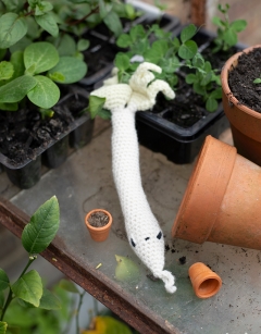 Bean Shoot