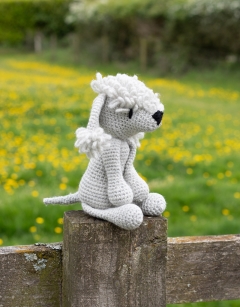 Rachel the Bedlington Terrier
