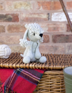 Rachel the Bedlington Terrier
