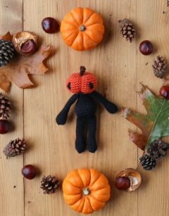 Mini Jack o Lantern Kit