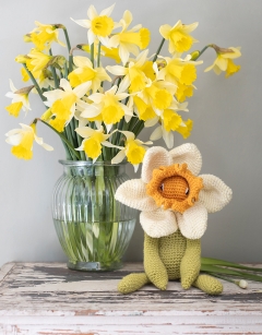 Bicolour Daffodil