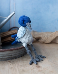 Keryn the Mountain Bluebird