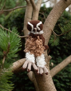 Desdemona the Spectacled Owl