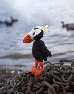 Wes the Tufted Puffin