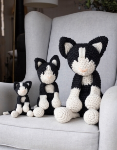 Giant Paddy the Black and White Cat