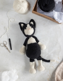 Large Paddy the Black and White Cat