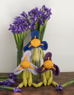 Iris
