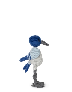 Keryn the Mountain Bluebird