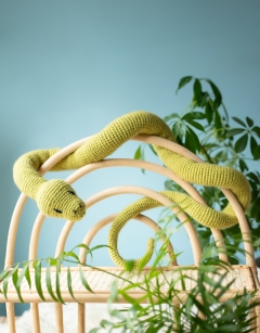 Atticus the Snake Kit