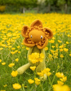 Buttercup