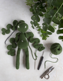 Fishbone Cactus