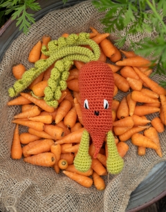 Chantenay Carrot