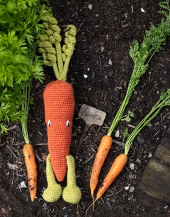 Carrot