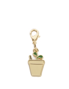 Seedling Enamel Centraliser