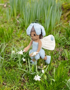 Chicory Flower Fairy