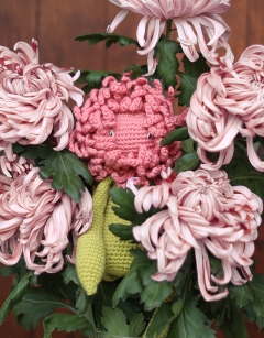 Chrysanthemum