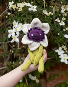 Clematis