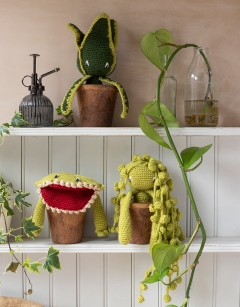 Stack of Coir Pots
