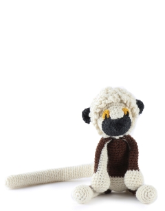 Sharon the Coquerels Sifaka