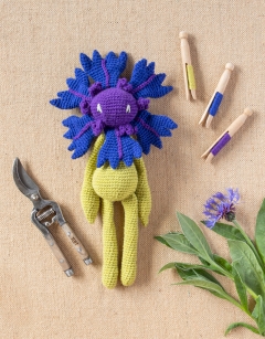 Cornflower