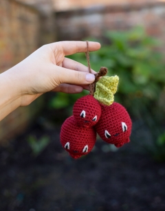 Sprig of Cranberries
