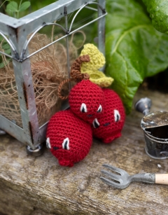 Sprig of Cranberries